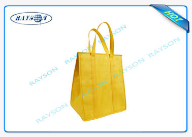 Eco Promocyjne torby z długim uchwytem Pp z włókniny Torba termoizolacyjna z zamkiem błyskawicznym
