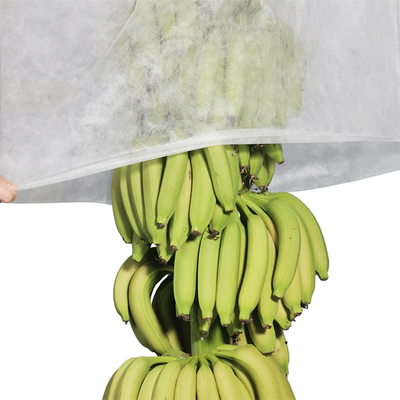 17 gram Rolnictwo Włóknina Włóknina UV Woreczki Bananowe Cięcie 100 sztuk Na Plastikową Torbę