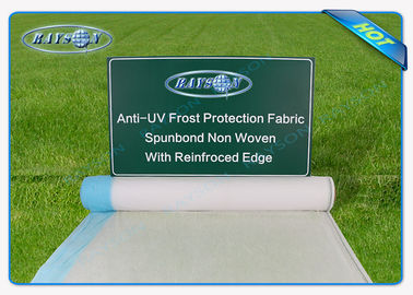 25.6m szeroka, przezroczysta matowa powłoka antyadhezyjna przeciw promieniowaniu dla rolniczych, białych tkanin krajobrazowych