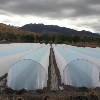 Barwiony wzór Rolnictwo Pokrywa z włókniny Virgin Spnbond Macro Tunel Szerokość 6,4 m