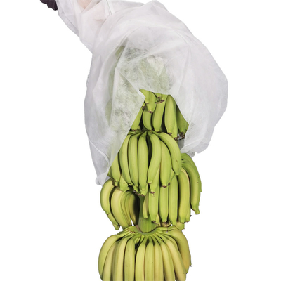 4% UV Spunbond Pp Non Woven Banana Bunch Cover Bag w kolorze biało-niebieskim