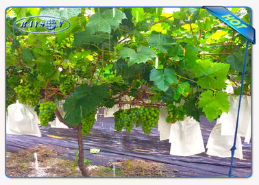 Tkanina przeciwpoślizgowa UV Non PP dla obszaru rolniczego jako pokrycie podłoża lub torby roślinne