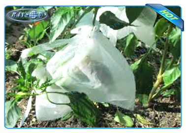 Włóknina Agiculture Plant Rośnie Torba na wzrost i ochronę owoców, torby uprawy ziemniaka