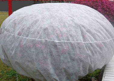 Trwały nie tkany ogród Kontrola chwastów tkaniny do ochrony roślin / rolnictwa