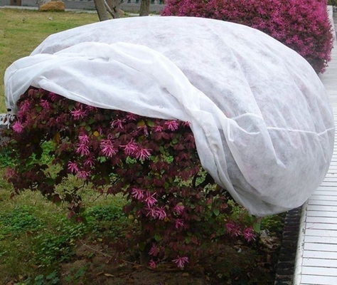Garden Frost Protection Fleece Pp Spunbond Non Woven Cover Dostosowane