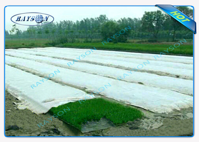 Anti-UV PP Spunbonded Agriculture Nieprzemakalna tkanina krajobrazu Eco-Friendly
