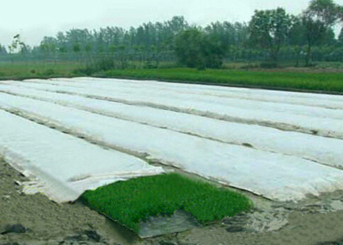Spunbond Non Woven Rolnictwo Okładka Fabric, Landscape PP Tkaniny dla Green House