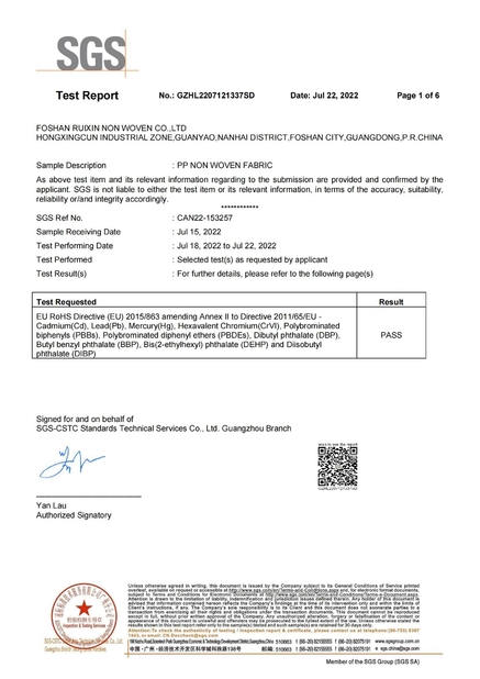 Chiny Foshan Rayson Non Woven Co.,Ltd Certyfikaty