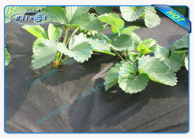 Biodegradowalna włóknina rolnicza o dużej wytrzymałości w kolorze czarnym 1,5 uncji 40 g / m2 do 100 g / m2