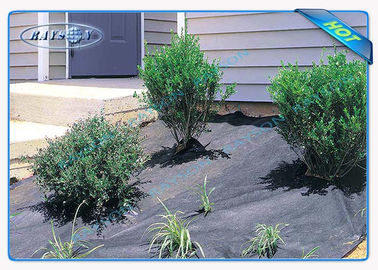 Enviro Anti UV Polypropylen Garden Weed Control Fabric / Mat for LandscapeAgriculture Non Woven Cover