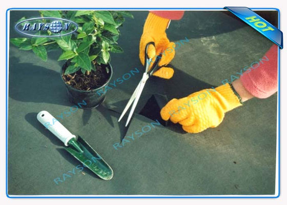 3% ochrona przed promieniowaniem UV 10-letnia gwarancja Rolnicza włóknina Spunbond w kolorze czarnym