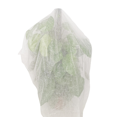 Ekologiczna rolnicza osłona roślin Biodegradowalna torba bananowa z włókniny PP