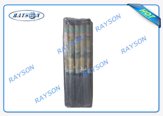 3% ochrona przed promieniowaniem UV 10-letnia gwarancja Rolnicza włóknina Spunbond w kolorze czarnym