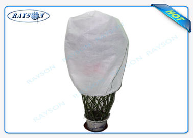 Rolnictwo Non Woven Cover Control Fabric PP Spunbond Nonwoven Fabric z 3% UV