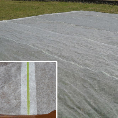 200gsm Spunbond Non Woven Fabric Agro Sheet Ochrona przed zamarzaniem warzyw do osłony roślin na zewnątrz