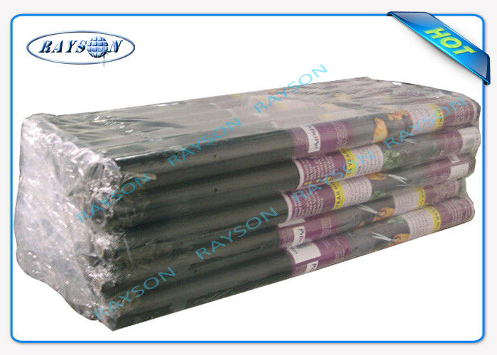Anty-UV PP Non Woven Fabric For Agriculture / Non Woven Landscape Fabric